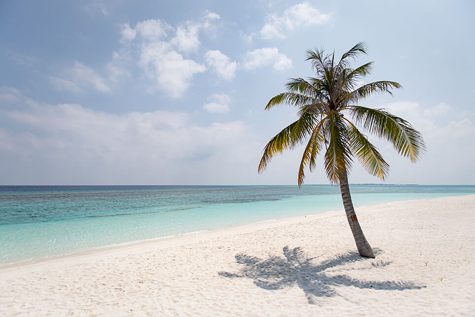 Coco Palm Dhuni Kohlu Malediven